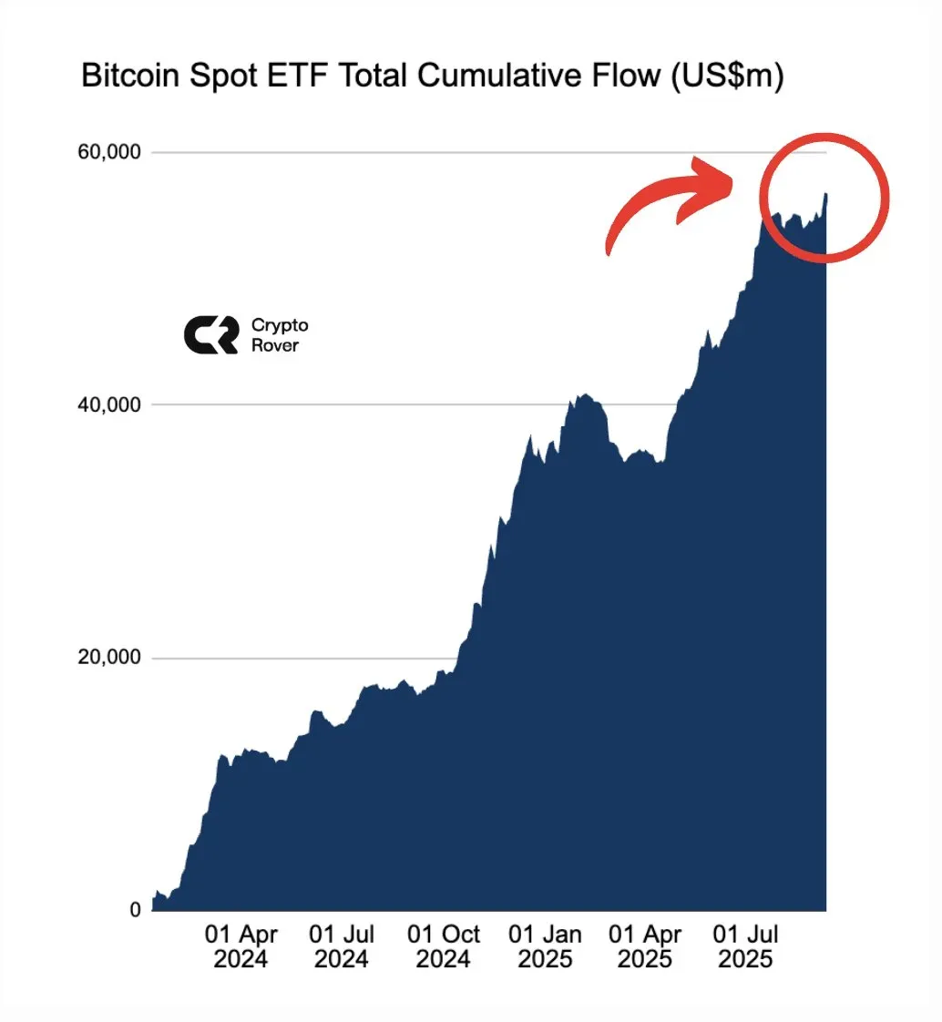 비트코인 현물 ETF 누적 자금 유입, 사상 최고치 경신 | 시그비트 뉴스